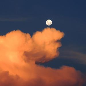 网站简单小鹤导航
